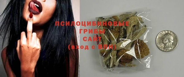 винт Бородино