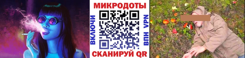 Псилоцибиновые грибы Psilocybe  Губкинский 